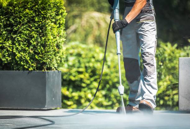 Best Roof Washing  in , MS