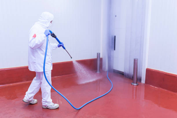 Best Warehouse Cleaning  in , MS