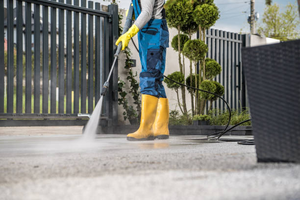  , MS Pressure Washing Pros